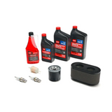 Get 139-0646 Toro Tune up kit On Sale Now